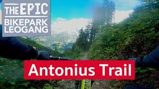 Antonius Trail | MTB Enduro Trail im Bikepark Leogang/Saalfelden